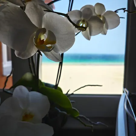 Sea View * Tarifa